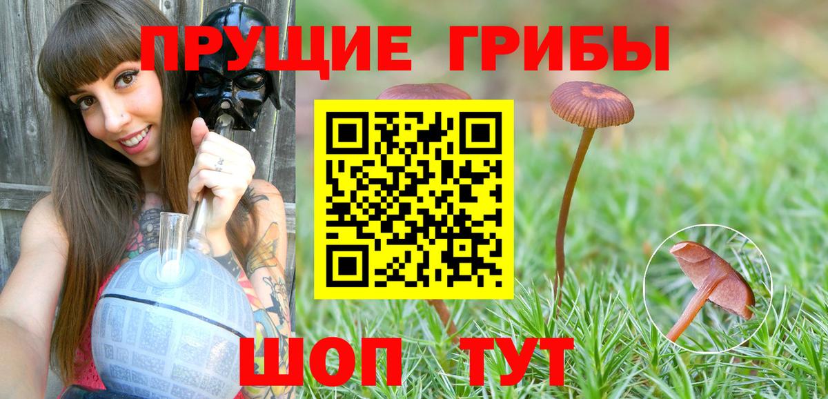 Галлюциногенные грибы мицелий Воркута